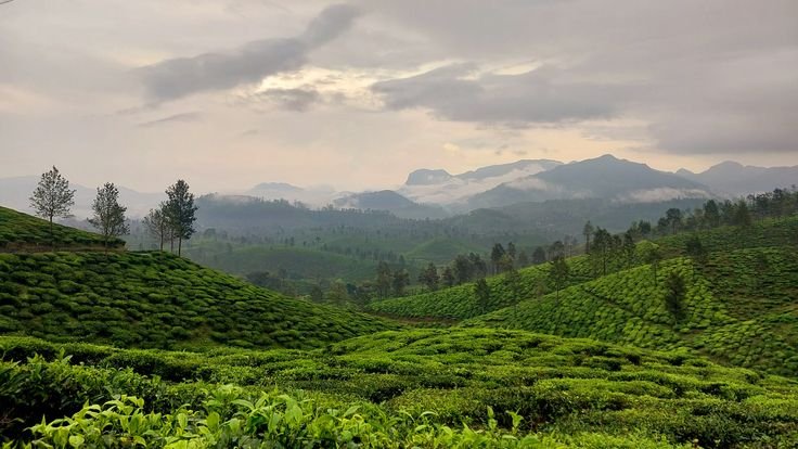 Kerala Tour